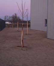 VERT-ESPACE EURL image 1