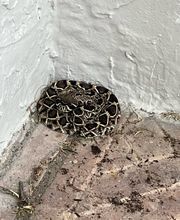 Critter Control image 19