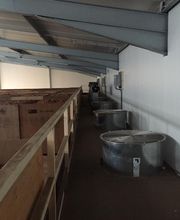 Premel Cabic image 6