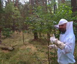 bioControl Schädlingsbekämpfung - Christian Hackel  Blossin  Deutschland
