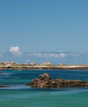 L'Oeil Noir - Photographe image 3