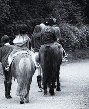 Les Ecuries D'aurabelle image 4