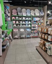 Orchestra IBOS - TARBES image 1