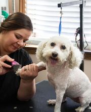 Three Trails Animal Hospital image 6