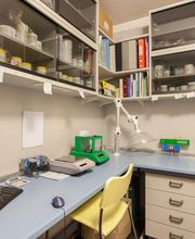 Gallery Professionale