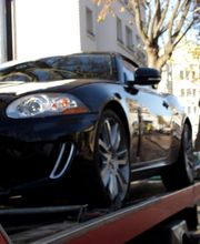 Gaaloul Arezki image 1