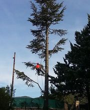 Horizon vertical image 1