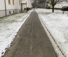 IMG_3391.JPEG