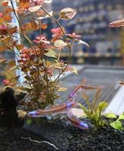 DAS FUTTERHAUS - Leer Bild 1