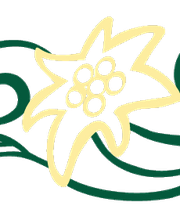 Edelwyss Hairstyling Bild 3