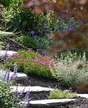 Garten + Rasen Jost AG Bild 8