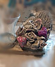 Rosemarie Darboven Bild 13