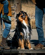 Familien-Fotoshooting