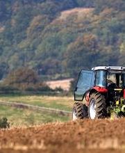 Forestal Vivariense S.L (STIHL) imagen 17