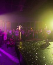 Gideon Bellin Bild 3