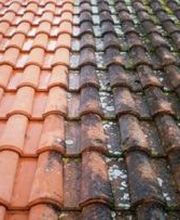 Fédrigo Peinture image 2