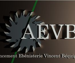 AEVB image 4