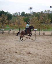 MFR du Marais Poitevin image 1