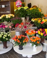 Blumen Barrey Bild 7