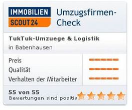 Tuktuk-Umzüge Bild 8