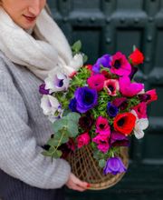 Maison Montagnac image 17