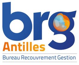 Brg Antilles
