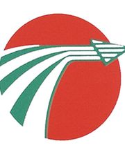 Il Recapito Espresso Pony Express a Roma immagine 7