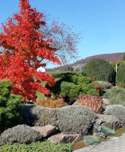 VITA VERDE AG Bild 1