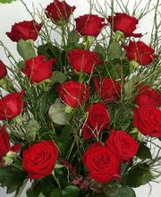 La Rose Rouge image 1
