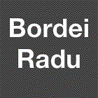 Bordei Radu