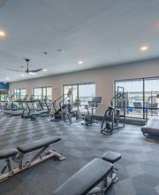 Alleia Watters Creek Apartments image 7