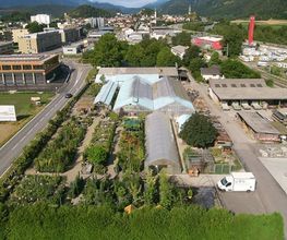Rodigari Gartencenter Bild 1