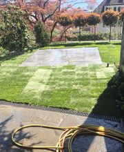 Chervet Jardinier-Paysagiste Sàrl Bild 3