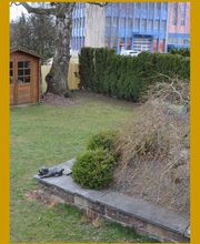 Hundeferienpension (Hundeferienparadies GmbH) Bild 4