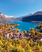 Hotel Restaurant Flyhof am Walensee Bild 3