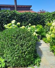 Bruno Winet, Privatgärtner Bild 8