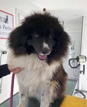 Chez Miss Perle image 12