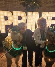 Hastings Electric image 14