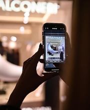 Falconeri immagine 1