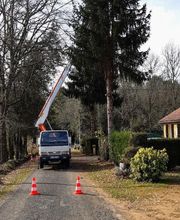 Mickael élagage image 13