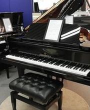 Prévalet Bruno image 1