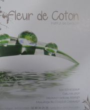 Fleur De Coton image 5