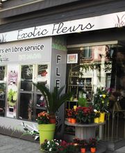 Exotic Fleurs image 3