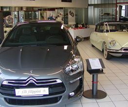 Gallery Cliente