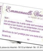Emmanuelle Vincent L'institut image 10