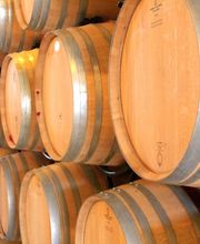 Clos du Château - Dugerdil Lionel & Nathalie Bild 9