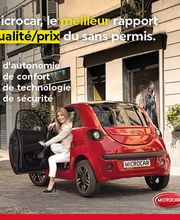 Voiture Sans Permis image 17