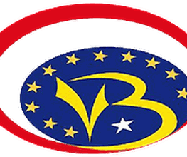 Digital V.B. Services image 2