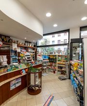 Gallery Professionale