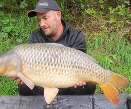 Kowa Baits image 1